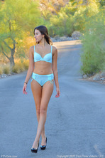 Figure A VS Model 12