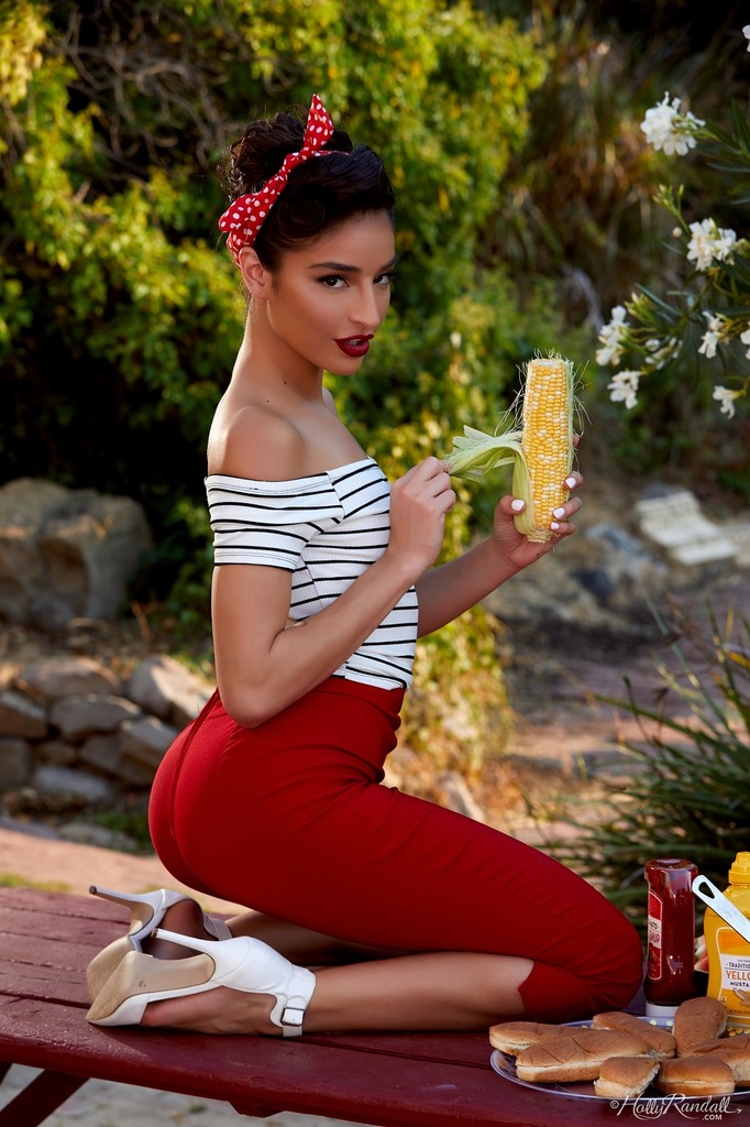 Retro Stripes and Red Skirt in an Outdoor Picnic Strip - photo 5