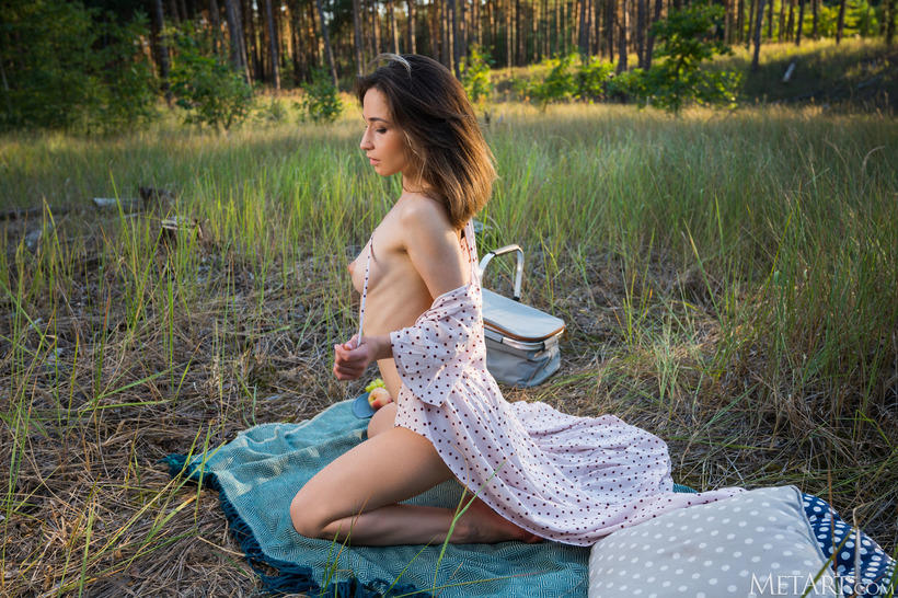 Picnic Fun 01