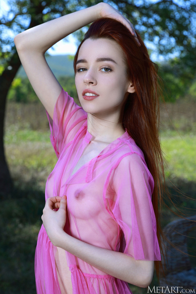 Redhead Nude with a Pink Wrap in the Meadow - photo 1