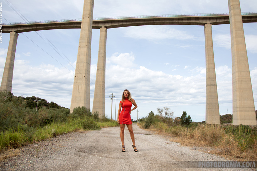 Off Road photo 1