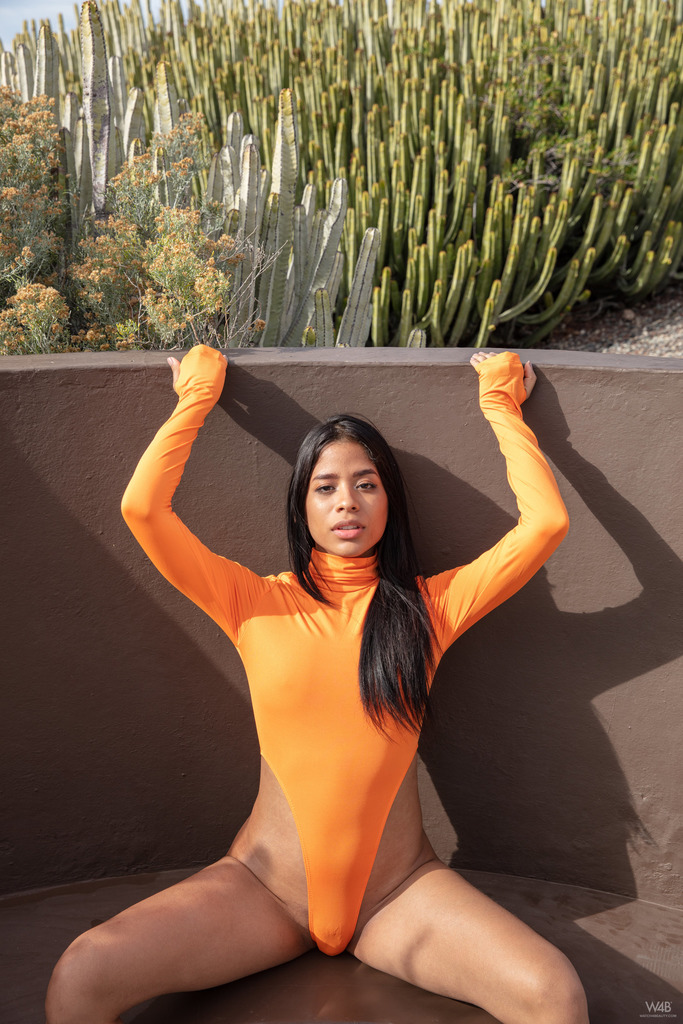 Beautiful Karin is showing off her slim body 01